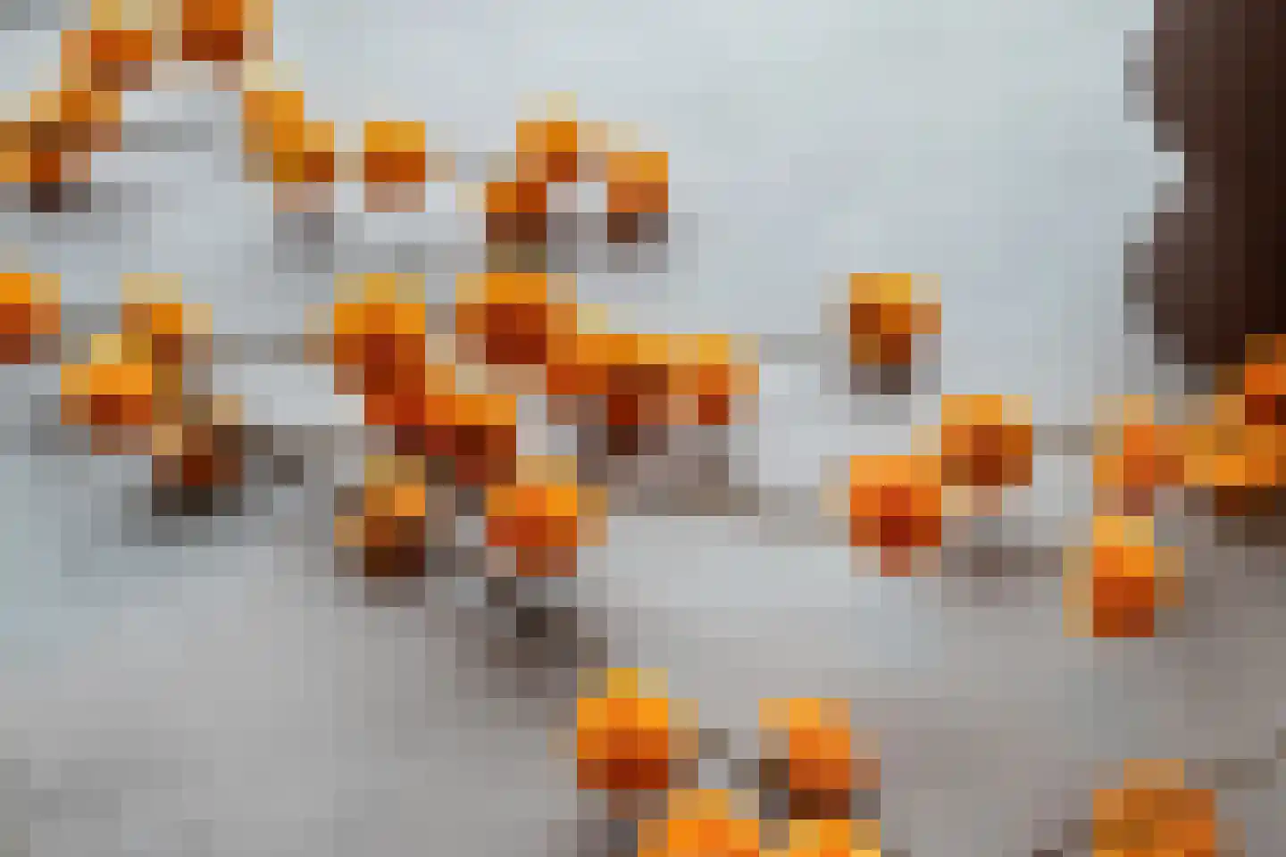 Koningsspil 30 Raalte thumbnail 12