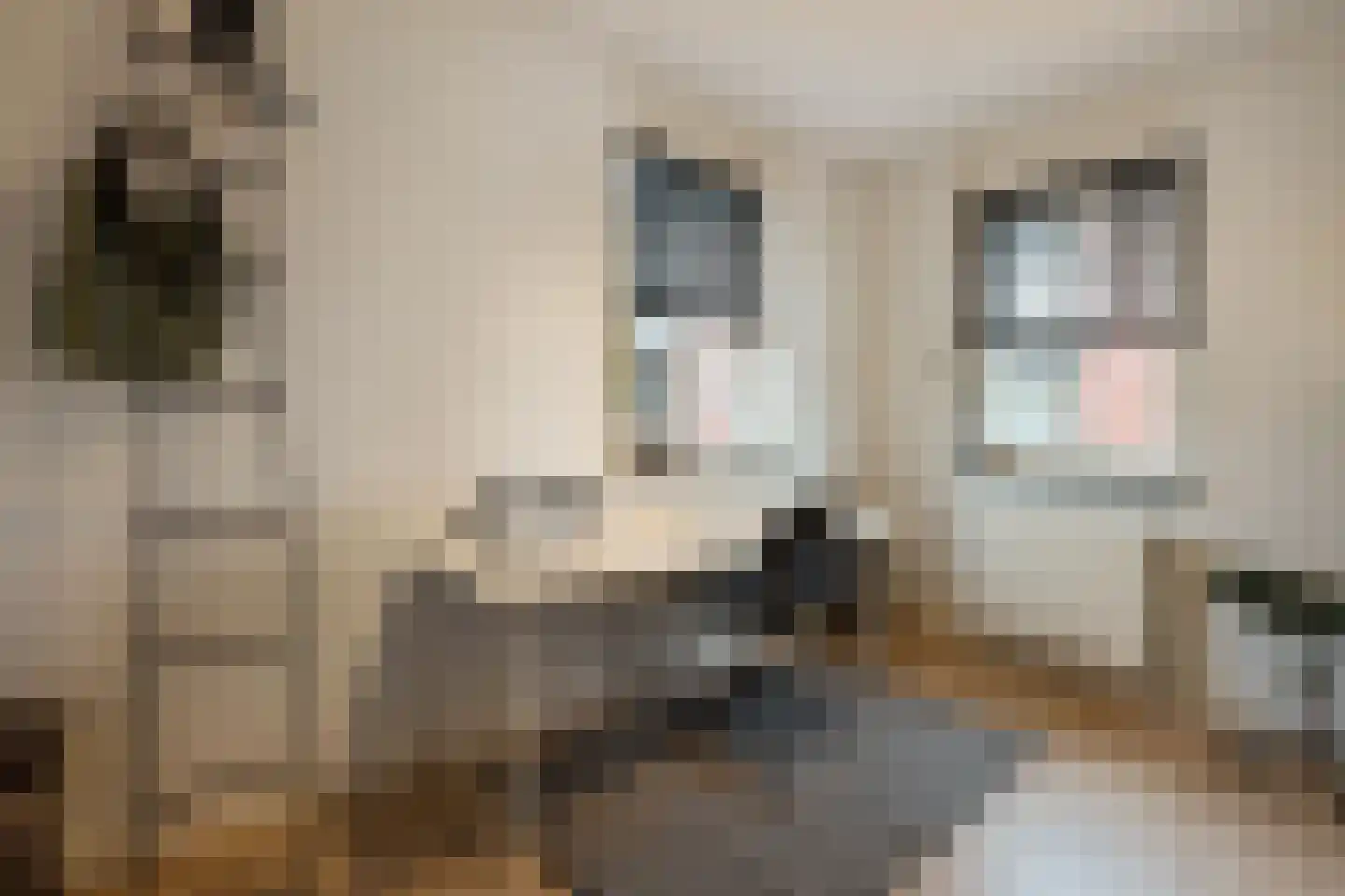 Koningsspil 30 Raalte thumbnail 33