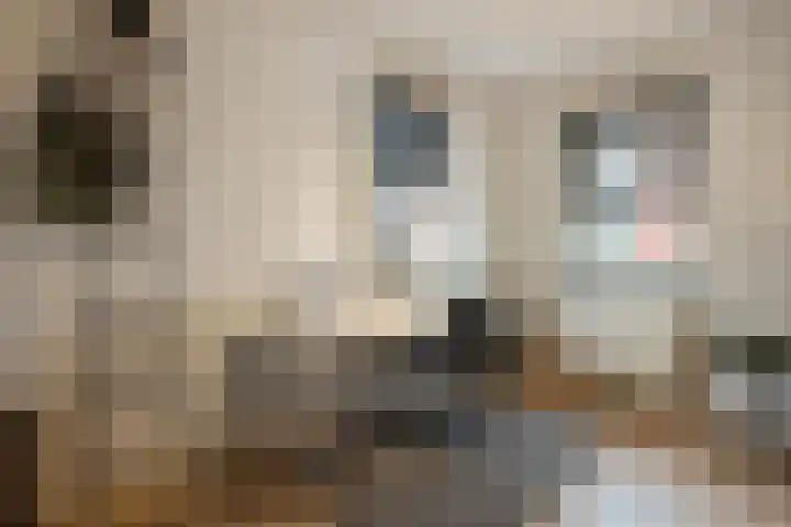 Koningsspil 30 Raalte thumbnail 33