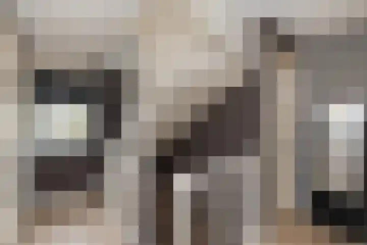 Koningsspil 30 Raalte thumbnail 38