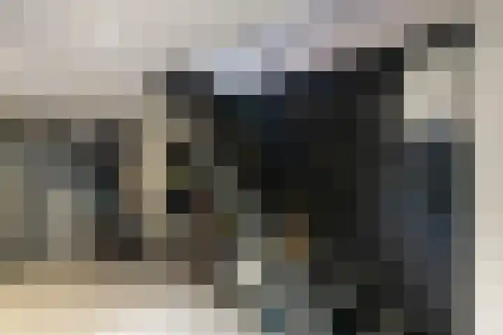 Koningsspil 30 Raalte thumbnail 50