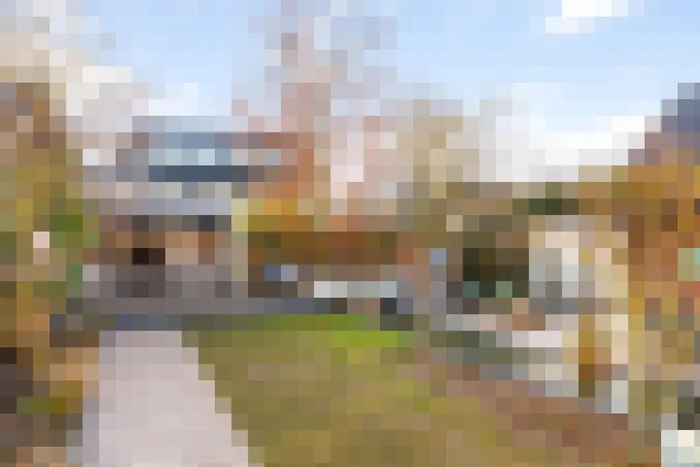 Koningsspil 30 Raalte thumbnail 51