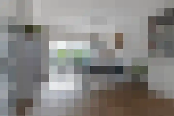 Koningsspil 32 Sneek thumbnail 10