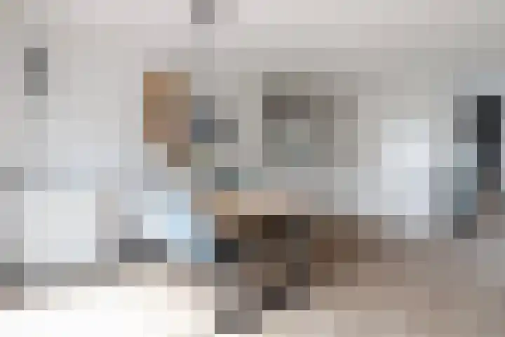 Koningsspil 32 Sneek thumbnail 11