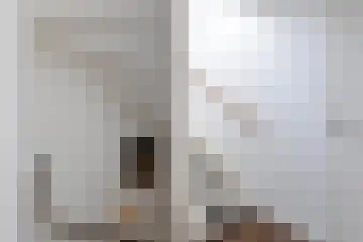 Koningsspil 32 Sneek thumbnail 17