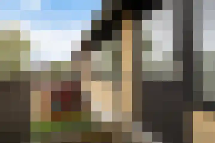 Koningsspil 32 Sneek thumbnail 20