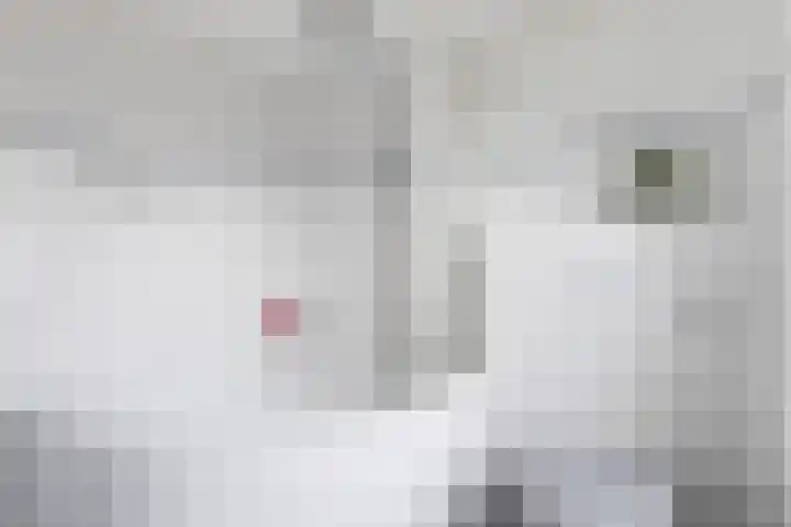 Koningsspil 32 Sneek thumbnail 21