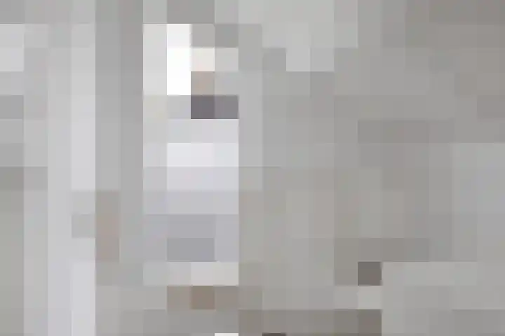 Koningsspil 32 Sneek thumbnail 26