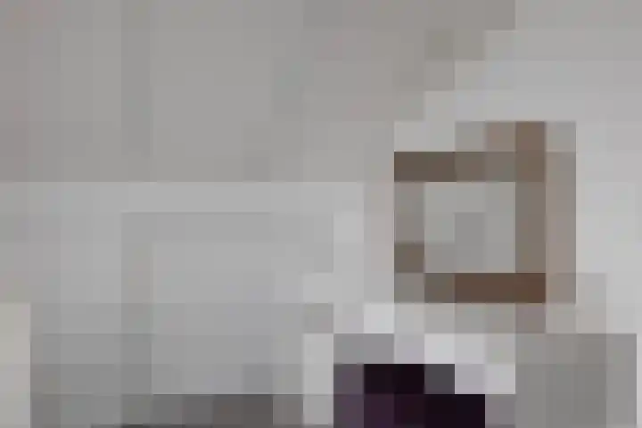 Koningsspil 32 Sneek thumbnail 27