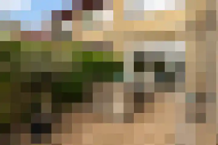 Koningsspil 32 Sneek thumbnail 30
