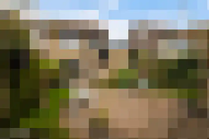 Koningsspil 32 Sneek thumbnail 31