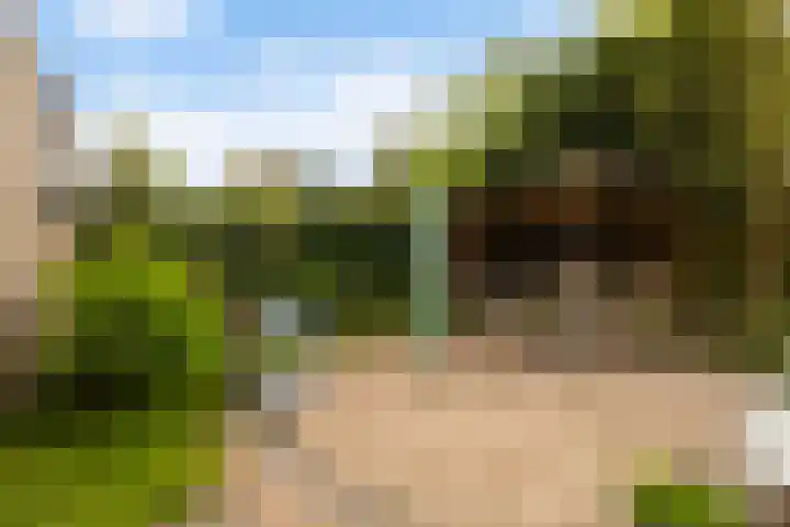 Koningsspil 32 Sneek thumbnail 32