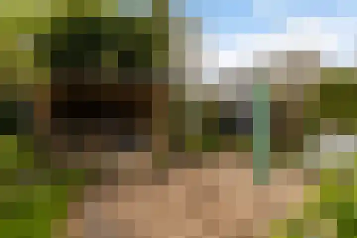 Koningsspil 32 Sneek thumbnail 33