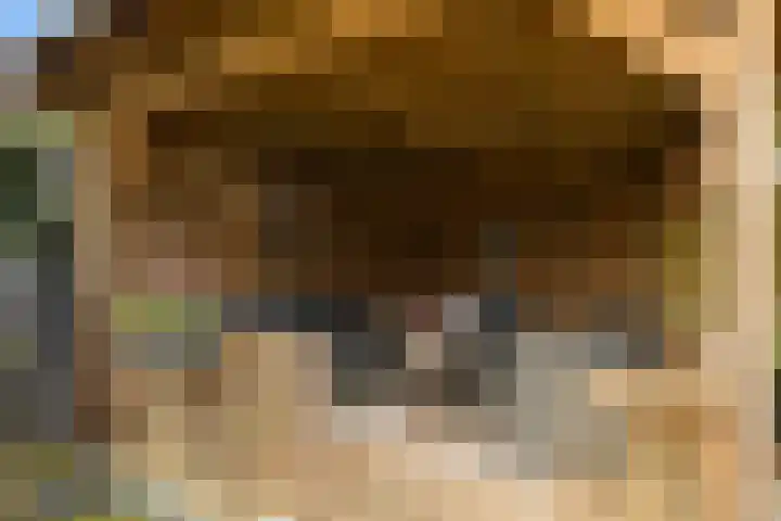 Koningsspil 32 Sneek thumbnail 34