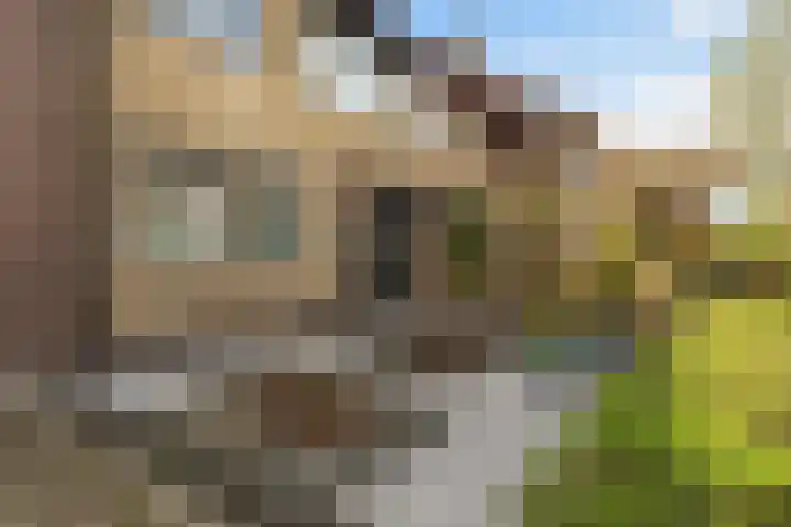 Koningsspil 32 Sneek thumbnail 36
