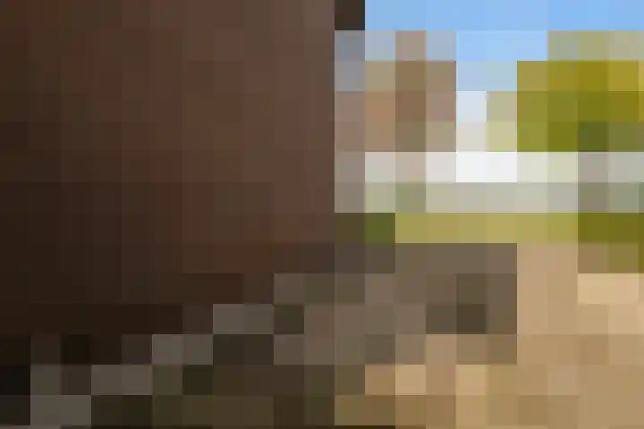 Koningsspil 32 Sneek thumbnail 40
