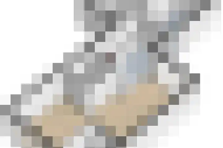 Koningsspil 32 Sneek thumbnail 47
