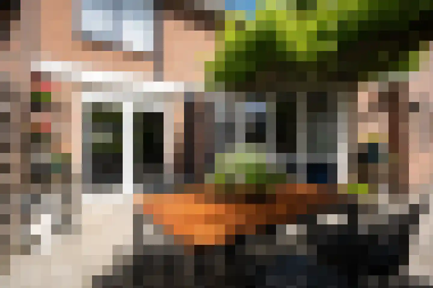 Koningsspil 35 Smilde thumbnail 28