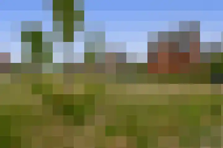 Koningsspil 38 Moerkapelle thumbnail 30