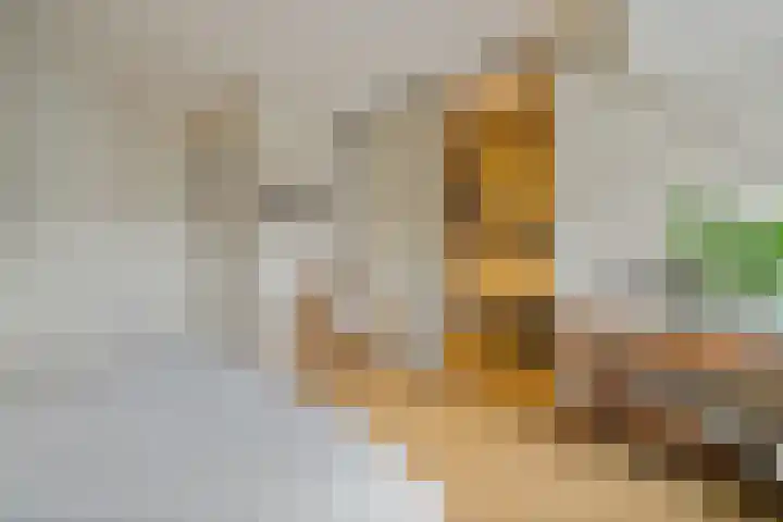 Koningsspil 38 Raalte thumbnail 23