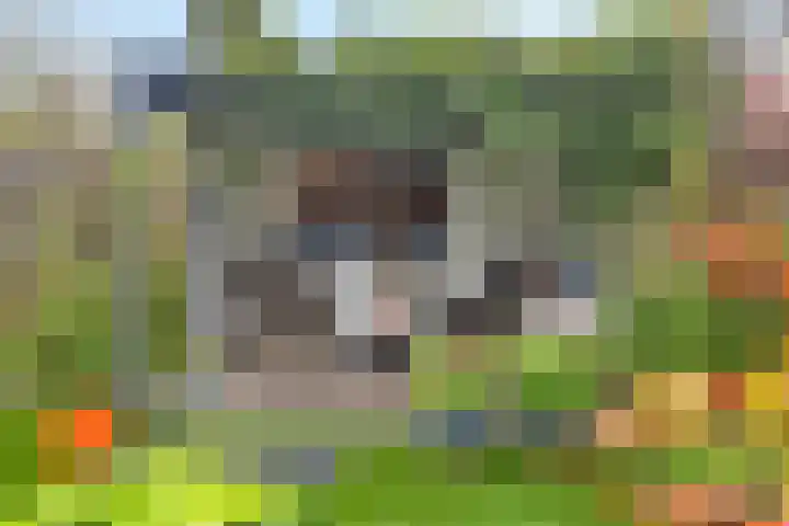 Koningsspil 38 Raalte thumbnail 37