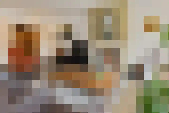 Koningsspil 38 Raalte thumbnail 8