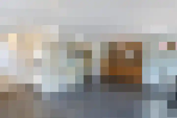 Koningsspil 39 Sint Pancras thumbnail 18