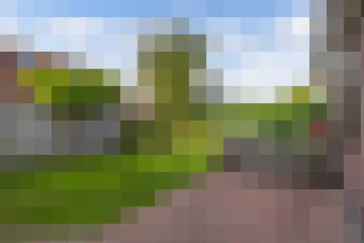 Koningsspil 39 Sint Pancras thumbnail 41