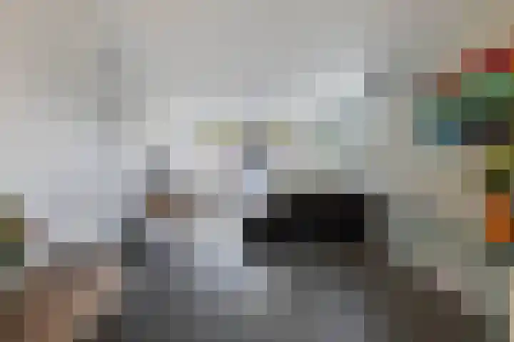 Koningsspil 39 Sint Pancras thumbnail 8