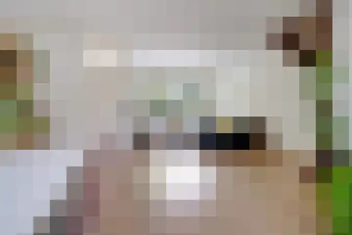 Koningsspil 4 Sneek thumbnail 12