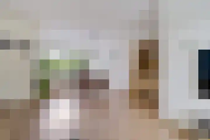 Koningsspil 4 Sneek thumbnail 13