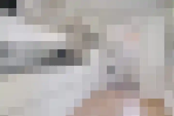 Koningsspil 4 Sneek thumbnail 15
