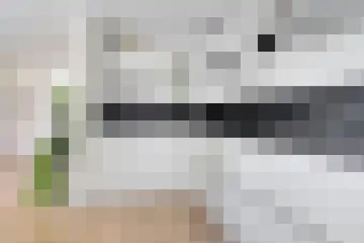 Koningsspil 4 Sneek thumbnail 16