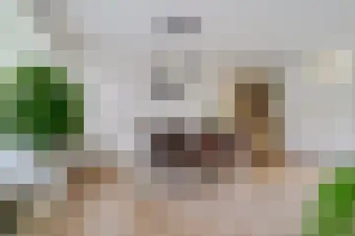 Koningsspil 4 Sneek thumbnail 17