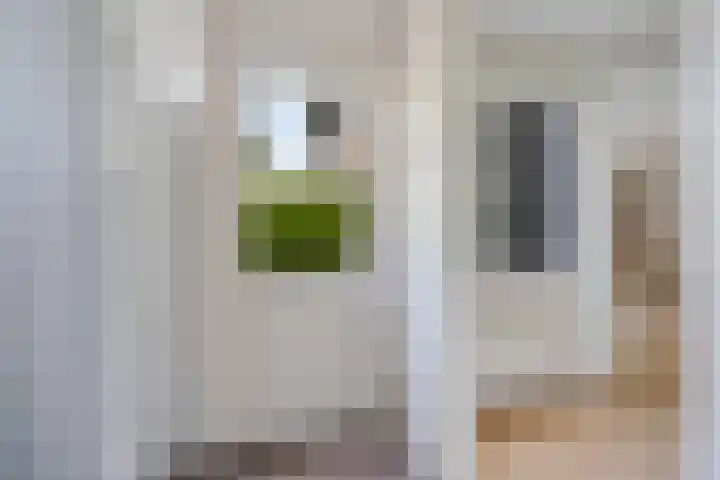 Koningsspil 4 Sneek thumbnail 21