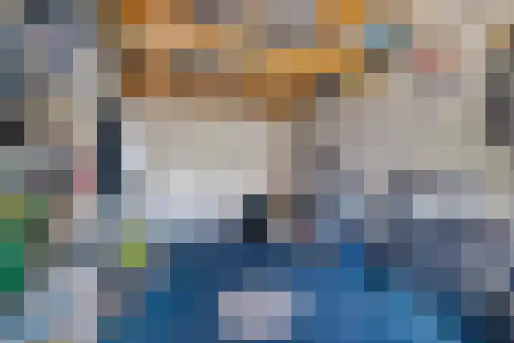 Koningsspil 4 Sneek thumbnail 22