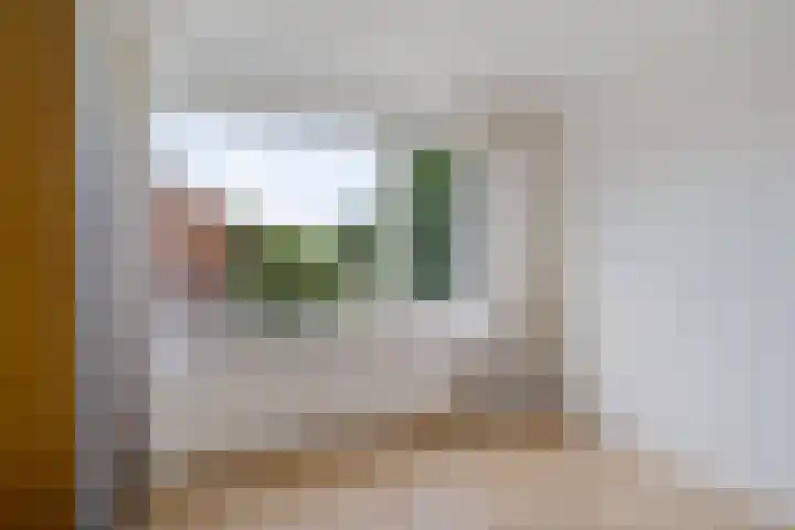 Koningsspil 4 Sneek thumbnail 24