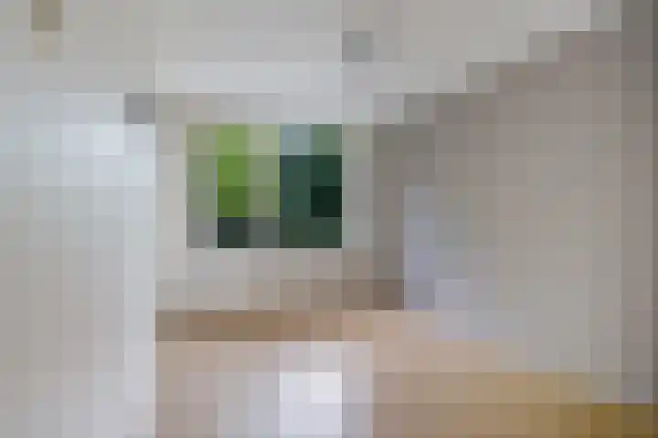 Koningsspil 4 Sneek thumbnail 28