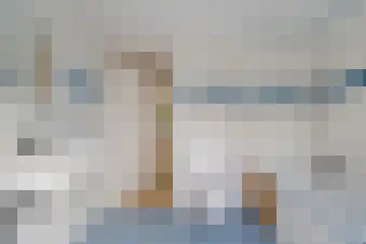 Koningsspil 4 Sneek thumbnail 30
