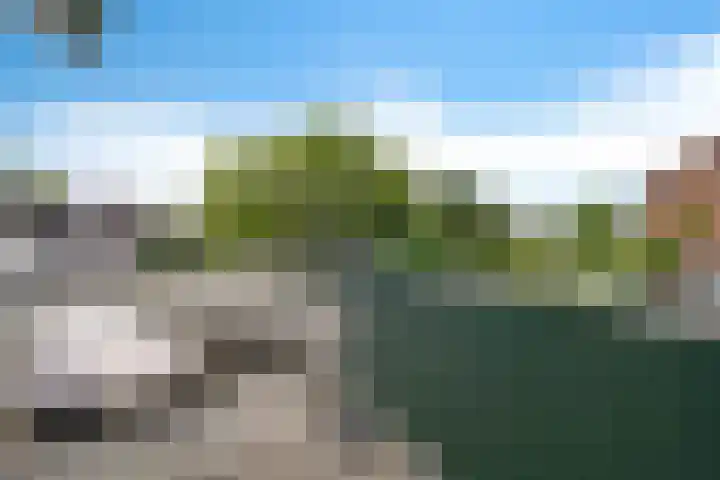 Koningsspil 4 Sneek thumbnail 34