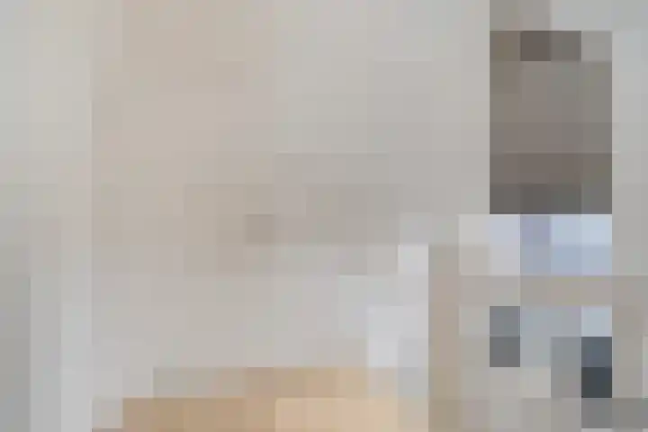 Koningsspil 4 Sneek thumbnail 35