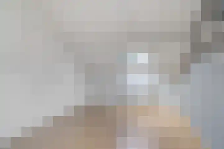 Koningsspil 4 Sneek thumbnail 37