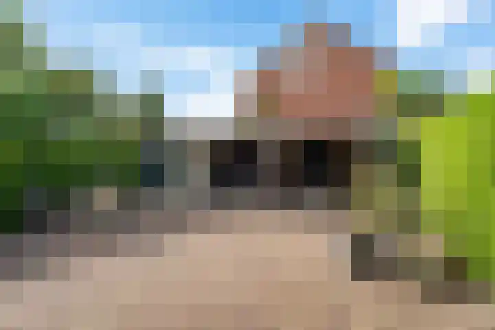 Koningsspil 4 Sneek thumbnail 39