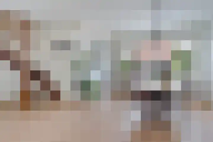 Koningsspil 4 Sneek thumbnail 4