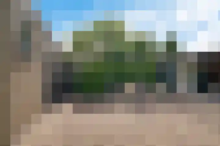 Koningsspil 4 Sneek thumbnail 40