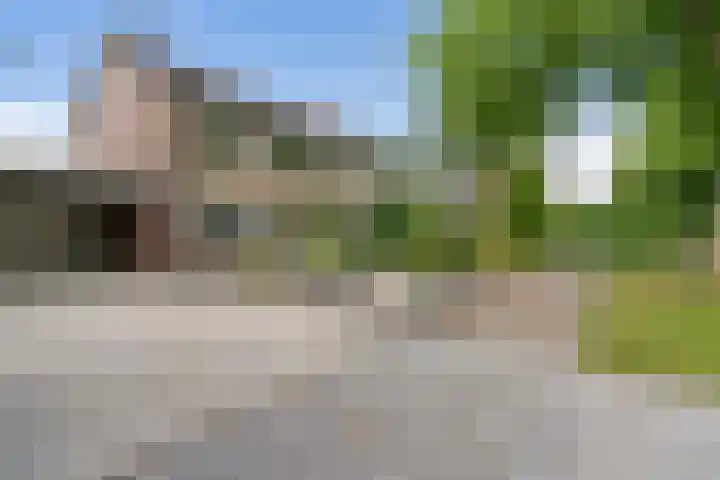 Koningsspil 4 Sneek thumbnail 45