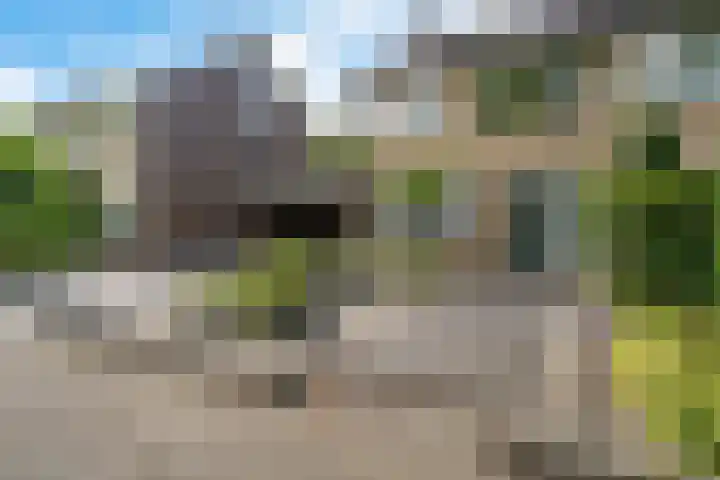 Koningsspil 4 Sneek thumbnail 47