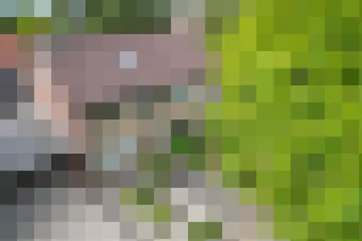 Koningsspil 4 Sneek thumbnail 48