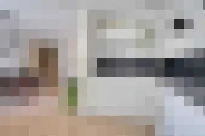 Koningsspil 4 Sneek thumbnail 5