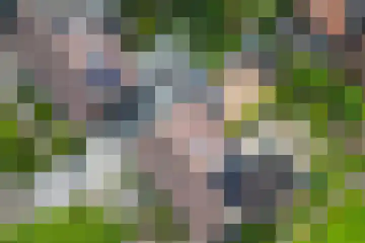 Koningsspil 4 Sneek thumbnail 50
